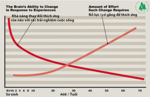 ecd 6